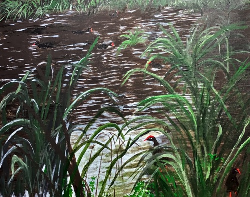 MOORHENS
Acrylic on Canvas
cm
$150.00 MOORHENS
Acrylic on Canvas
cm
$150.00